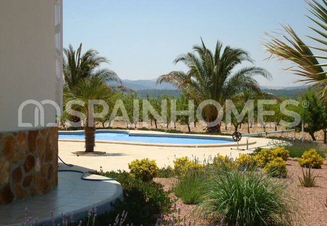 Spacious 4-bedroom Houses with Pools in Aspe Alicante 4