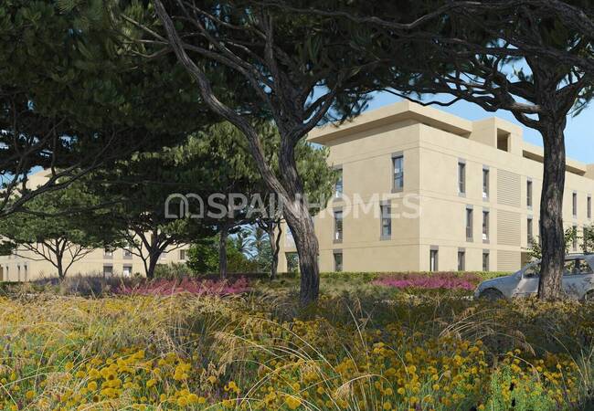 Stylish Flats with Expansive Terraces in Denia 2