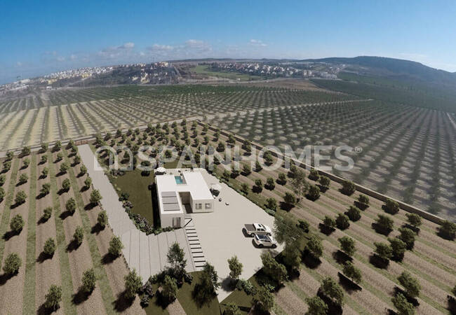 La Finca Golf Resort Algorfa Yakınında Satılık Lüks Villalar 12