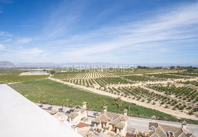 Elegante Golfvillen Mit Pool In Algorfa La Finca 23