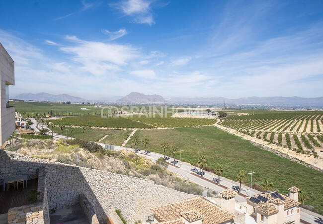 Elegante Golfvillen Mit Pool In Algorfa La Finca 22