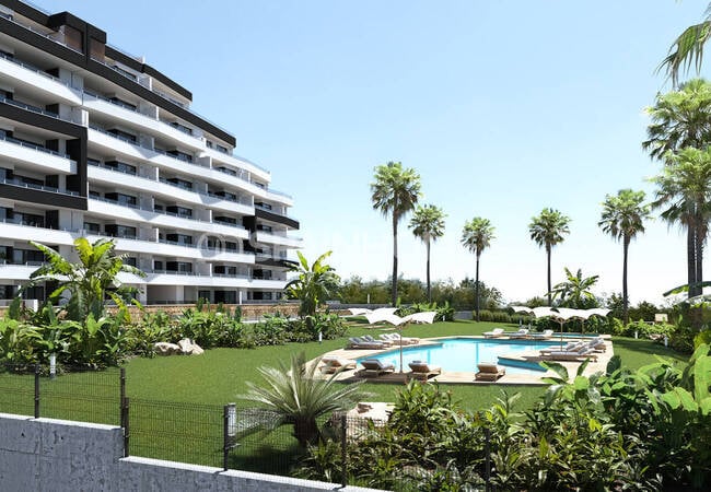 Elegant Design Apartments with Pool in San Miguel De Salinas 1