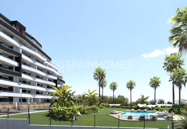 Elegant Design Apartments with Pool in San Miguel De Salinas 2