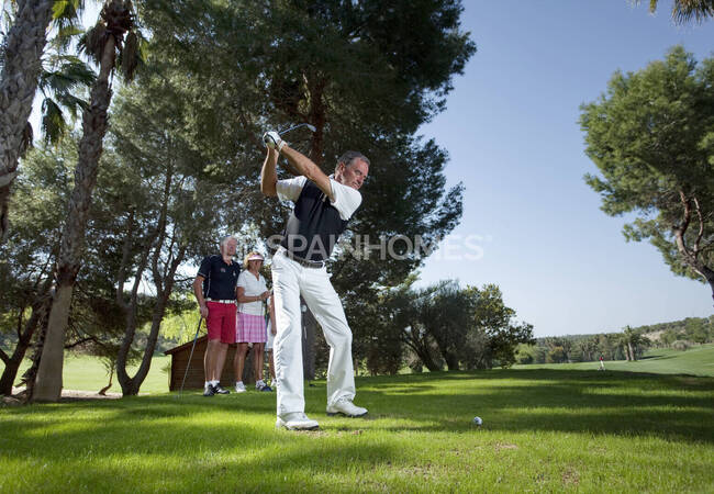 2-bedroom Apartments 500 M From the Sea in Campoamor Golf 10