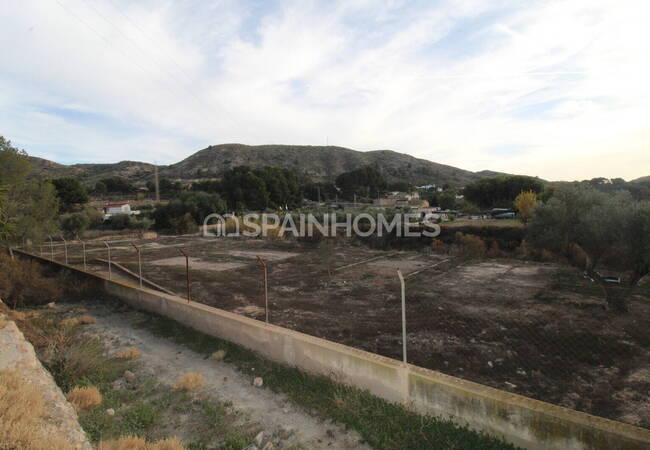 Spacious Real Estate with Private Pool in Alicante Elda 17