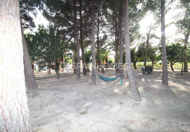 Spacious Real Estate with Private Pool in Alicante Elda 13