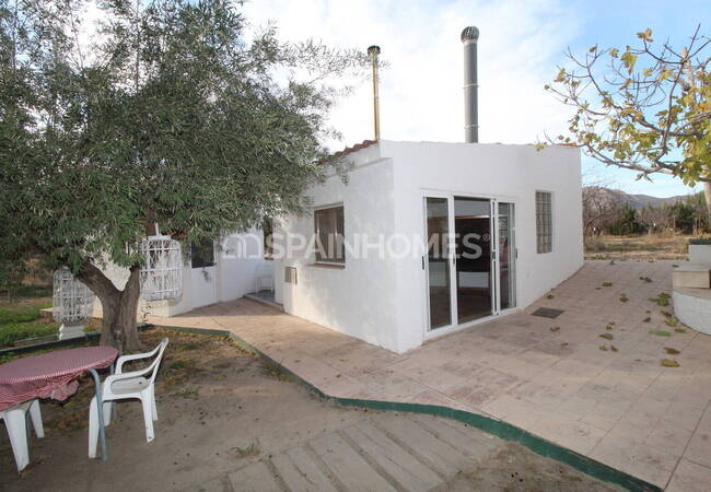 Spacious Real Estate with Private Pool in Alicante Elda 25