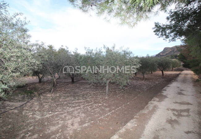 Spacious Real Estate with Private Pool in Alicante Elda 16