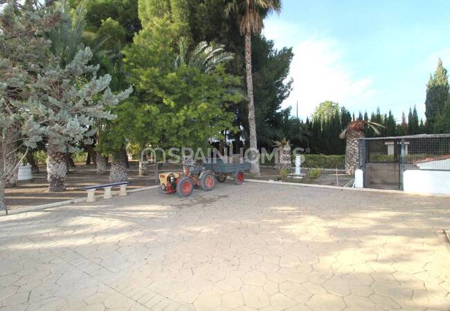 Spacious Real Estate with Private Pool in Alicante Elda 15
