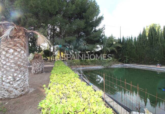 Spacious Real Estate with Private Pool in Alicante Elda 14