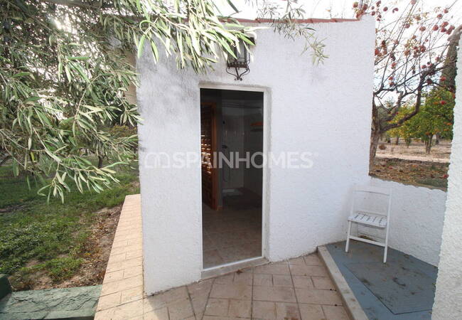Spacious Real Estate with Private Pool in Alicante Elda 24