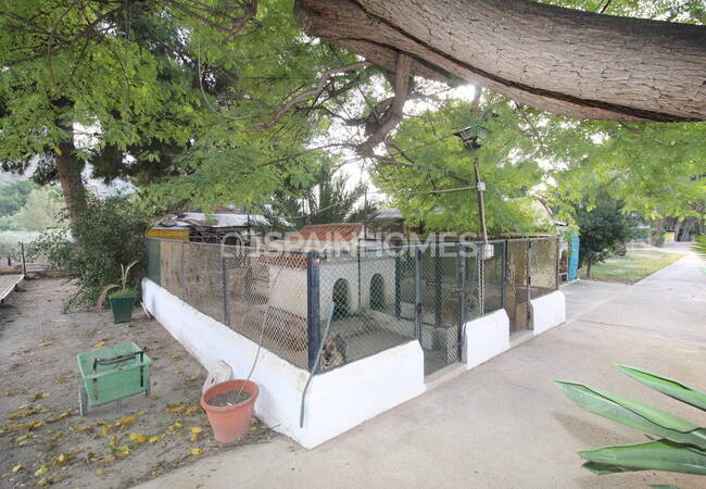 Spacious Real Estate with Private Pool in Alicante Elda 20