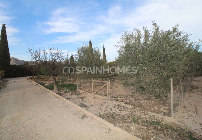 Spacious Real Estate with Private Pool in Alicante Elda 18