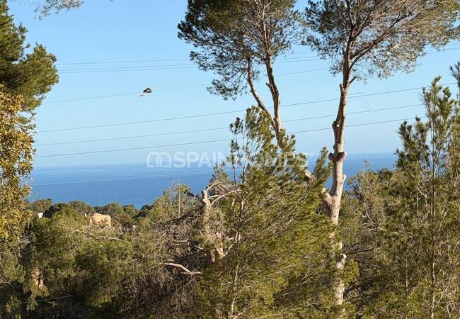 Bouwgrond Met Zeezicht In Altea Alicante 2