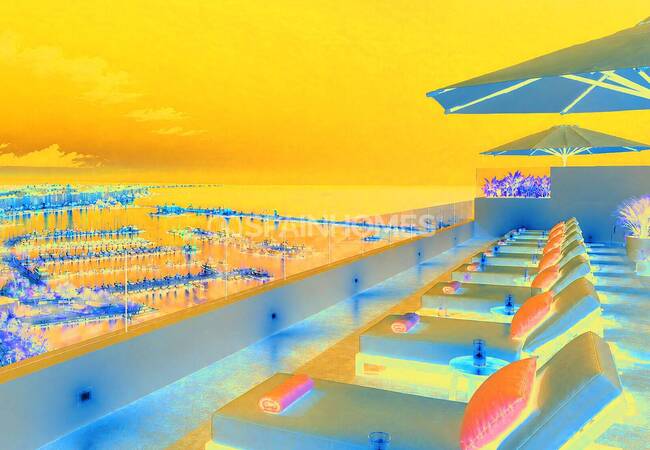 Different-sized Apartments with Communal Pool in Torrevieja 4