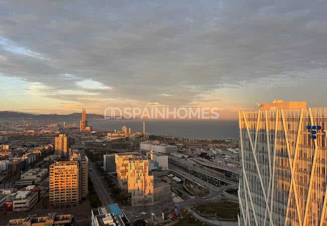 Eco-friendly Properties with Pool and Gym in Barcelona 3