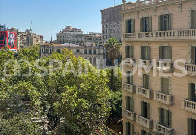 Renovated Flat in a Prime Location in Eixample Barcelona 1