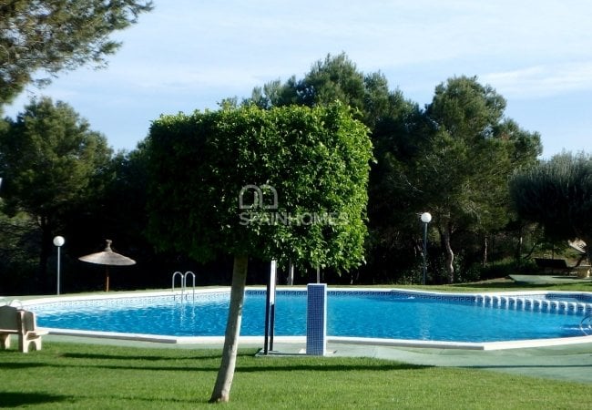 Недвижимость с Высоким Арендным Потенциалом в Ориуэле 9