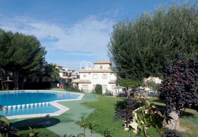 Недвижимость с Высоким Арендным Потенциалом в Ориуэле 10