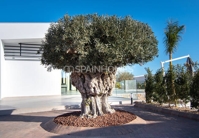 Amplias Villas Con Piscina Privada En San Miguel De Salinas 13