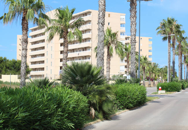 Nyckelklar Lägenhet Ett Stenkast Från Stranden I Torrevieja 1