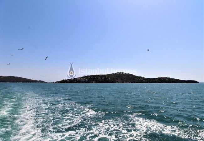 Well-designed Sea View Apartment for Sale in Istanbul Adalar 7