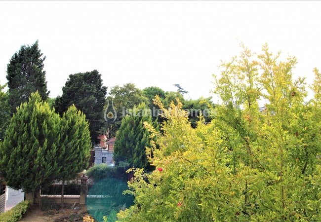Citizenship Approved Villa on a Tourism Zoned Land in Pendik 6