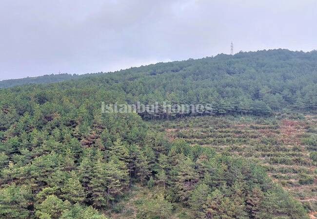 Kartal'da Deniz ve Doğa Manzaralı Çağdaş Tasarımlı Daireler 5