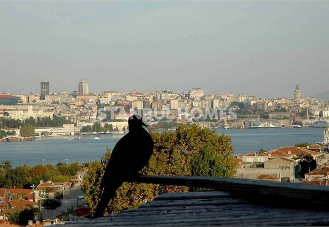 قصر تاريخي مطل على خاليج وحديقة في الفاتح 5