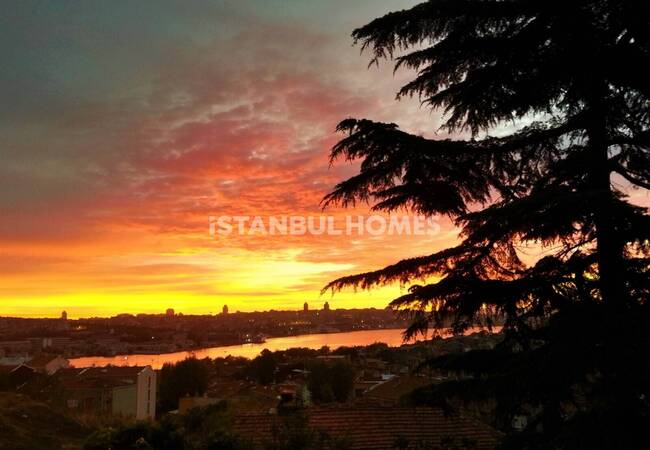 قصر تاريخي مطل على خاليج وحديقة في الفاتح 7