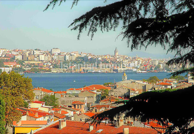 Investment Mansion with Garden in Istanbul Fatih