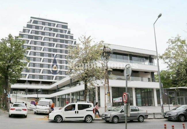 Trendy Real Estate for a Professional Life in Kucukcekmece 2