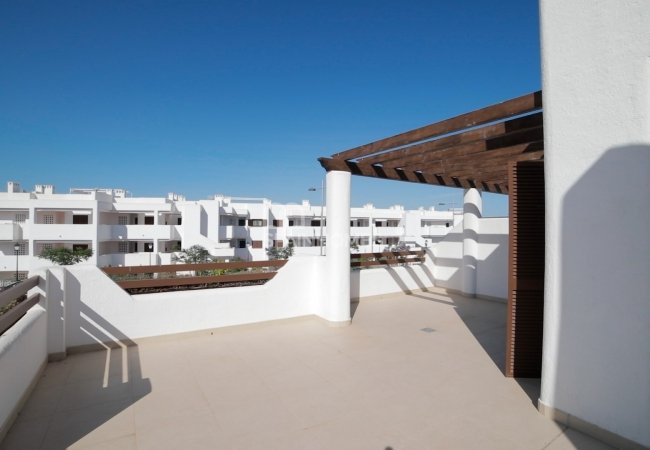 Almeria’da Özel Havuzlu ve Bahçeli Çağdaş Villalar 4