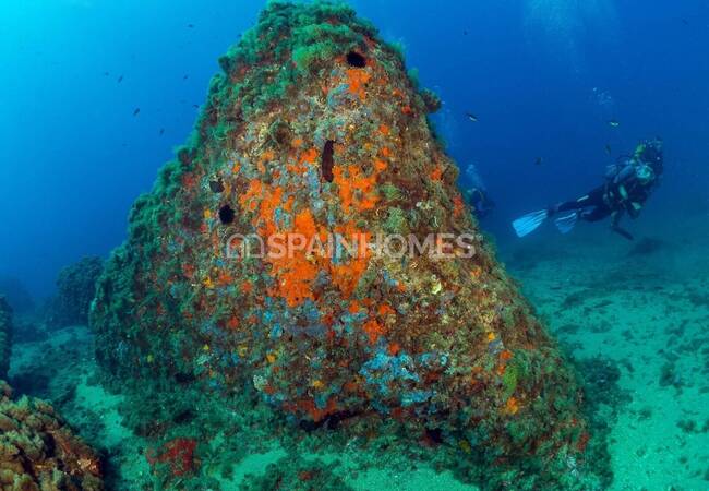 İspanya Murcia'da Olanaklara Yakın Satılık Çağdaş Daireler 15