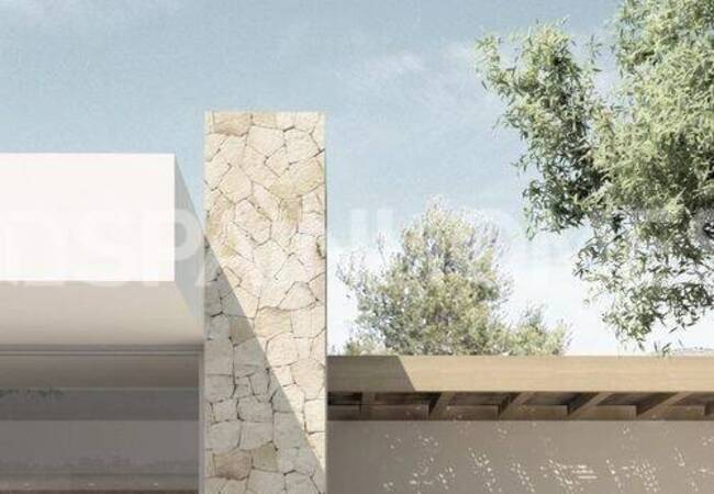 Villa with Large Cultivable Plots in Yecla Murcia 2