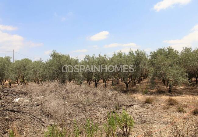 Einzel Villa Auf Einem Großen Grundstück In Valle Del Sol Murcia 13
