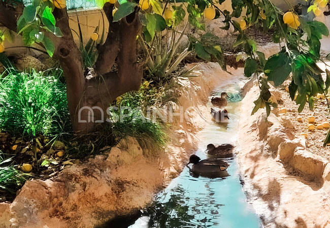 Detached Ready-to-move House with Swimming Pool in Murcia 6