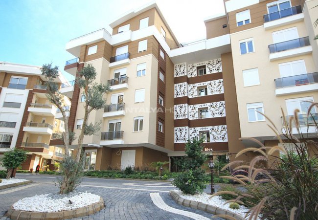 royal homes attractive homes with social area