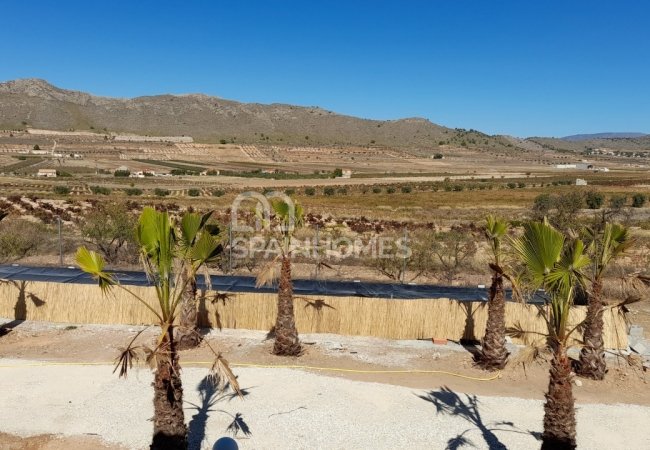 Rustic Country House with Pool in Abanilla, Costa Calida 4