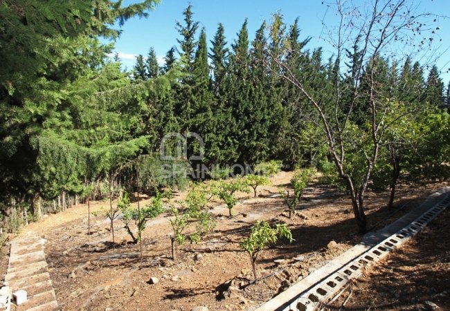 Private Country House Close to Amenities in Malaga