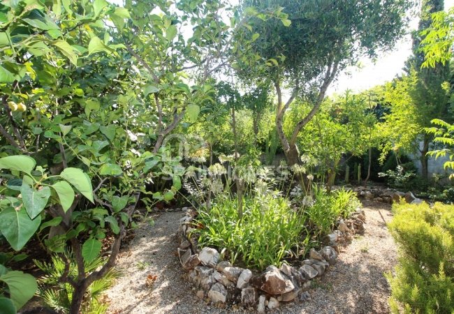 Nature View House with Private Facilities in Alhaurin De La Torre