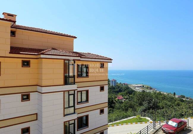 Immobilier Au Design Moderne À Vendre À Trabzon Arakli