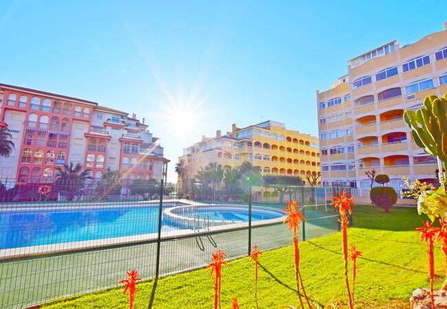 Appartements Abordables Près De La Plage Torrevieja Alicante 1