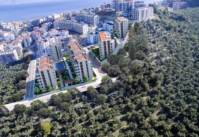 Real Estate Surrounded by Forest in Bursa, Mudanya