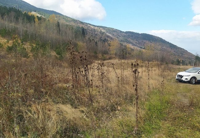 Large Plot of Land with Magnificent View in Bursa Kestel 1