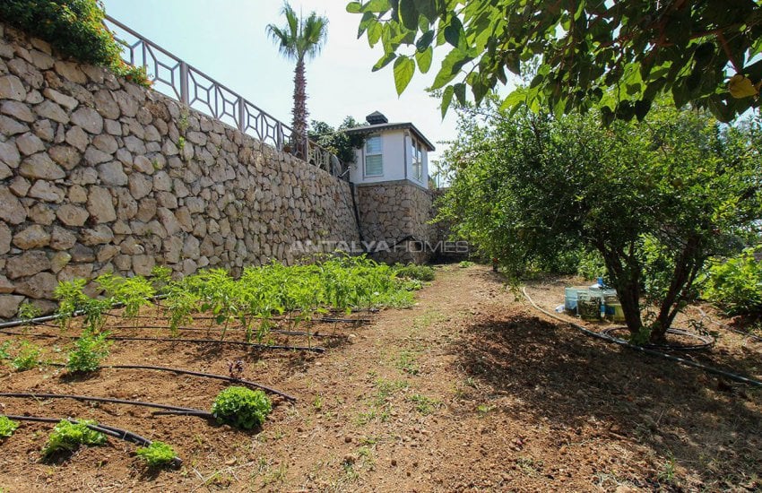Panoramic Sea and Mountain View Farmhouse in Antalya 12