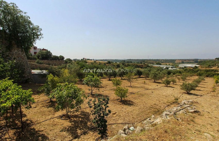 Panoramic Sea and Mountain View Farmhouse in Antalya 13