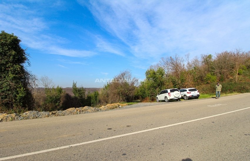 Investment Land for Sale with Forest View in Turkey Istanbul