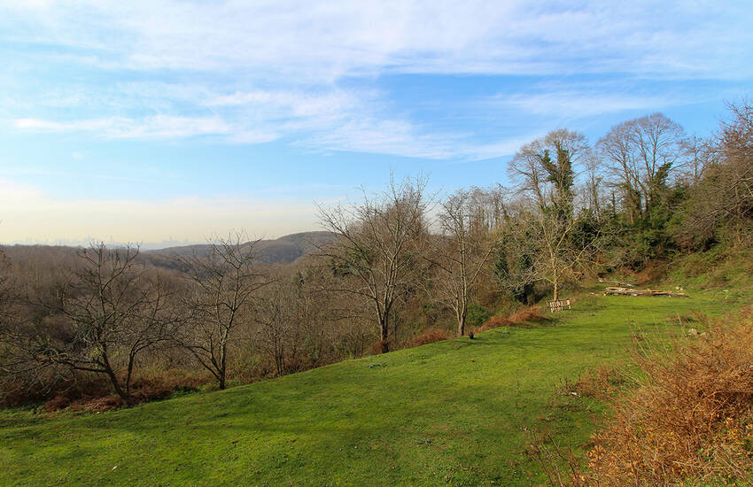 Beykoz'da Orman İçinde Meyve Bahçeli 1.750 M² Arsa 1