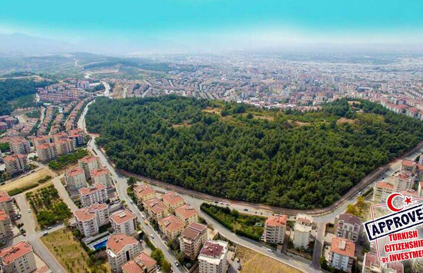 City and Forest View Deluxe Houses with Garden in Bursa 1